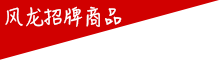 風龍看板商品